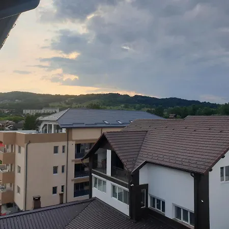 Dem Radulescu Langa Ramnicu Valcea